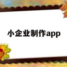 小企业制作app(企业app制作软件)