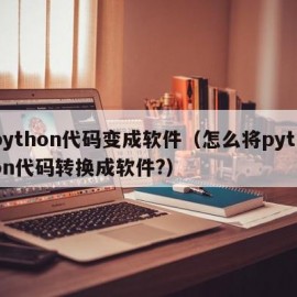 python代码变成软件（怎么将python代码转换成软件?）