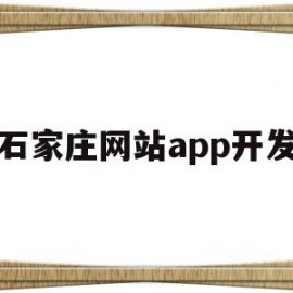 石家庄网站app开发(石家庄医保App)