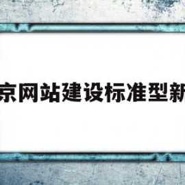 北京网站建设标准型新翼(北京市网站建设)