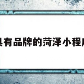 具有品牌的菏泽小程序(菏泽都有哪些微信公众号)