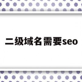 二级域名需要seo(二级域名需要ssl证书吗)