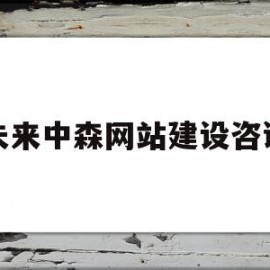 未来中森网站建设咨询(未来中森网站建设咨询怎么样)