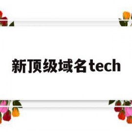 新顶级域名tech(新顶级域名还有投资价值吗?)