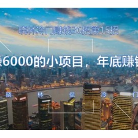 晓林冷门赚钱第15招10天赚6000的小项目，年底赚钱好项目