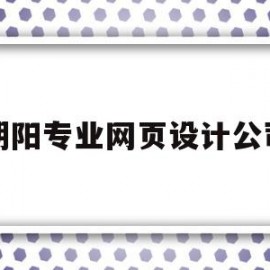 朝阳专业网页设计公司(朝阳专业网页设计公司有哪些)