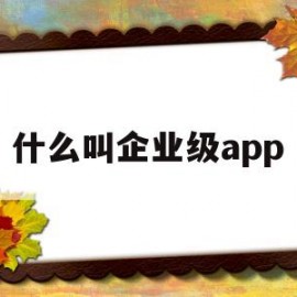 什么叫企业级app(什么叫企业级App)