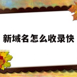 新域名怎么收录快(域名收录是什么意思)