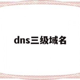 dns三级域名(dns域名的层次管理机制)