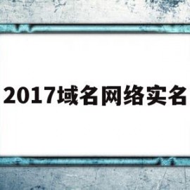 2017域名网络实名(域名实名认证后下一步怎么弄)