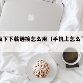 手机极下下载链接怎么用（手机上怎么下载链接）