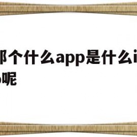 包含那个什么app是什么icp呢的词条