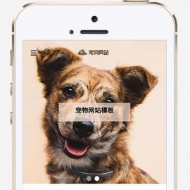 (自适应手机端)宠物商店宠物装备类网站