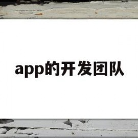 app的开发团队(app开发组织架构)