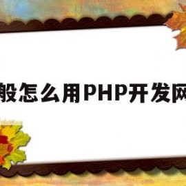 一般怎么用PHP开发网站(php网站开发实例教程代码)