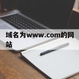 关于域名为www.com的网站的信息