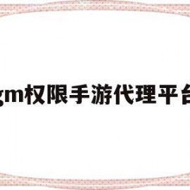 gm权限手游代理平台(gm权限手游代理平台是什么)