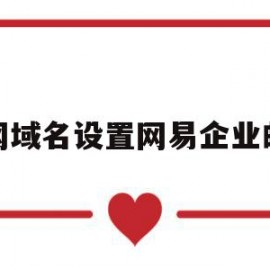 新网域名设置网易企业邮箱(新网域名设置网易企业邮箱怎么设置)