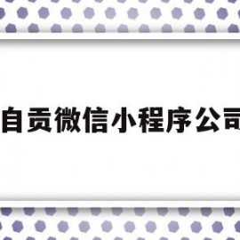 自贡微信小程序公司(自贡小程序开发工程师招聘)