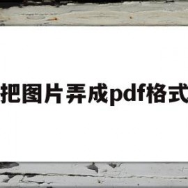 把图片弄成pdf格式(把图片弄成pdf格式的软件)