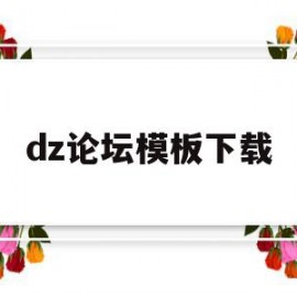 dz论坛模板下载(dz论坛app客户端)