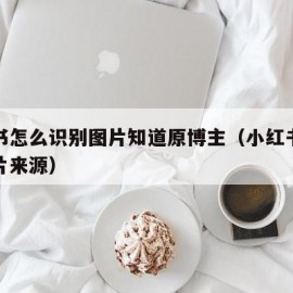 小红书怎么识别图片知道原博主（小红书怎么查图片来源）