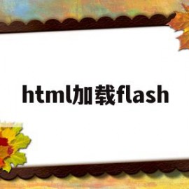 html加载flash(Html加载vue组件多个)