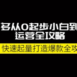 拼多多从0起步小白到大神运营全攻略，快速起量打造10W+爆款全攻略！