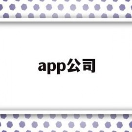 app公司(app公司有哪些部门)