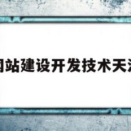 网站建设开发技术天津(网站开发建设的基本流程)