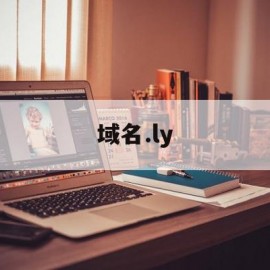 域名.ly(域名life怎么登录)