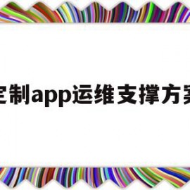 定制app运维支撑方案(app运维成本)