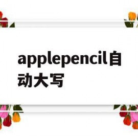 applepencil自动大写(apple pencil写英文怎么改大小写)