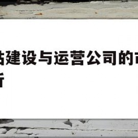 网站建设与运营公司的市场分析的简单介绍