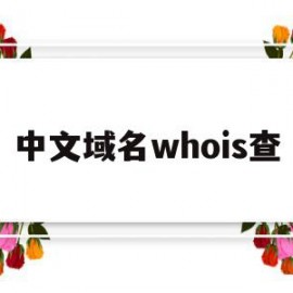 关于中文域名whois查的信息