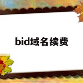 bid域名续费(域名续费什么意思)