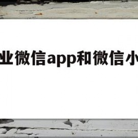 企业微信app和微信小程序(企业微信app和微信小程序的区别)