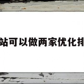 网站可以做两家优化排名(自己怎么给网站做优化排名)