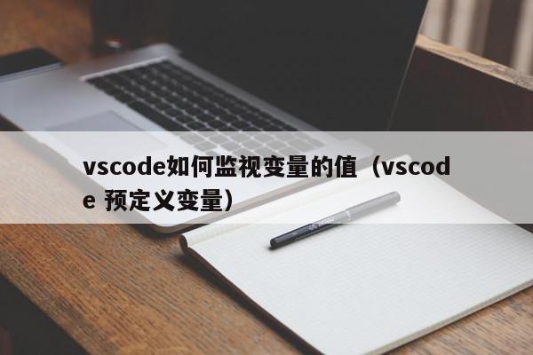 vscode如何监视变量的值（vscode 预定义变量）,vscode如何监视变量的值,信息,文章,第1张