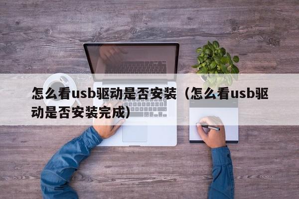 怎么看usb驱动是否安装（怎么看usb驱动是否安装完成）,怎么看usb驱动是否安装,信息,文章,第1张