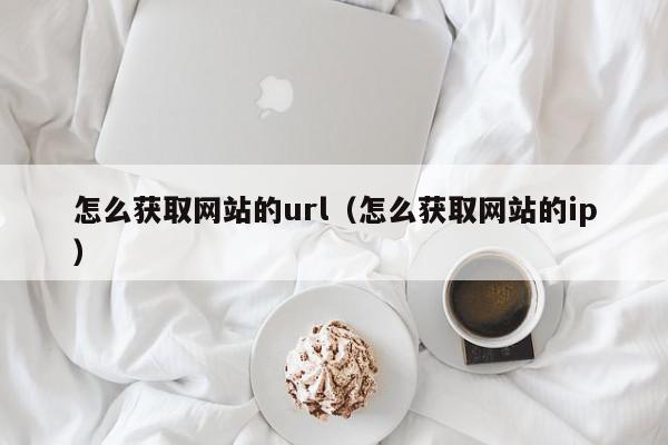 怎么获取网站的url（怎么获取网站的ip）,怎么获取网站的url,信息,文章,视频,第1张