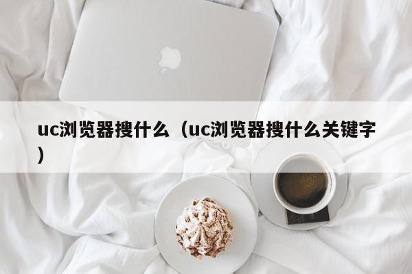 uc浏览器搜什么（uc浏览器搜什么关键字）,uc浏览器搜什么,信息,视频,百度,第1张