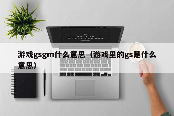 游戏gsgm什么意思（游戏里的gs是什么意思）,游戏gsgm什么意思,信息,文章,浏览器,第1张