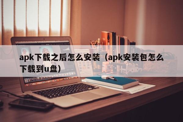 apk下载之后怎么安装（apk安装包怎么下载到u盘）,apk下载之后怎么安装,信息,百度,APP,第1张