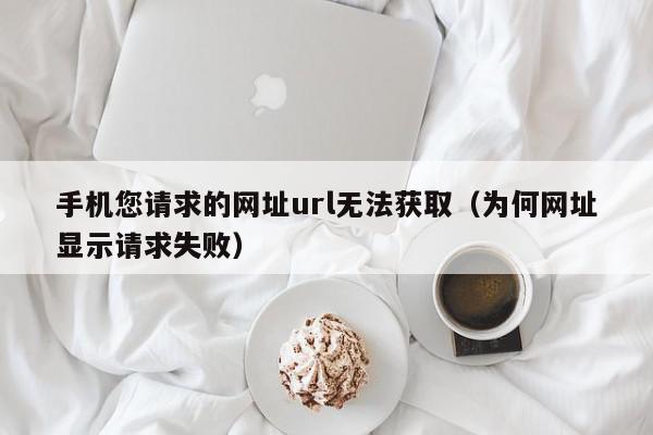 手机您请求的网址url无法获取（为何网址显示请求失败）,手机您请求的网址url无法获取,信息,文章,浏览器,第1张