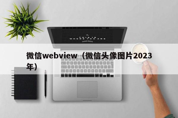 微信webview（微信头像图片2023年）,微信webview,信息,文章,源码,第1张