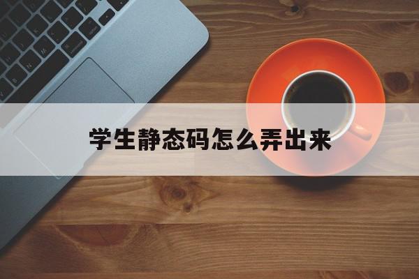 学生静态码怎么弄出来(学生静态码怎么弄出来视频)