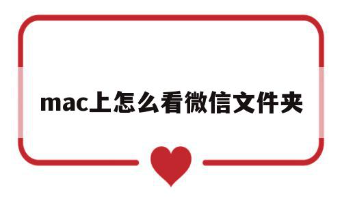 mac上怎么看微信文件夹(mac微信里的文件存在哪里)