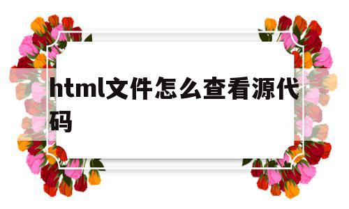 html文件怎么查看源代码(html文件怎么查看源代码的内容)