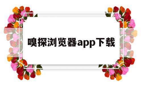 嗅探浏览器app下载(嗅探浏览器免费下载)